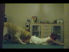 Hot wife got smashed in dog porno
